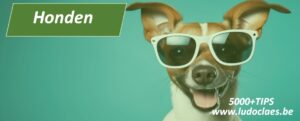 Honden en pups met leuke weetjes TIPS en advies 5000 TIPS