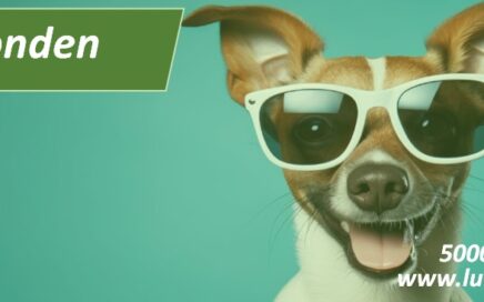 Honden en pups met leuke weetjes TIPS en advies 5000 TIPS