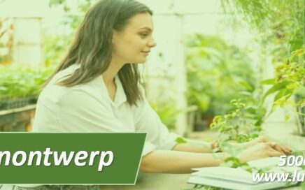 Tuinontwerp en tuinplan met leuke weetjes TIPS en advies 5000 TIPS