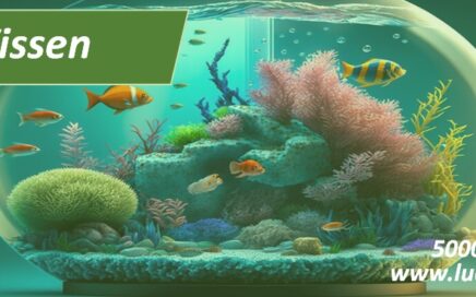 Vissen aquarium met leuke weetjes TIPS en advies 5000 TIPS