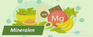 Mineralen soorten functie en gezondheid met advies 5000 TIPS